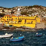 Carvalhal * Funchal (Madeira)