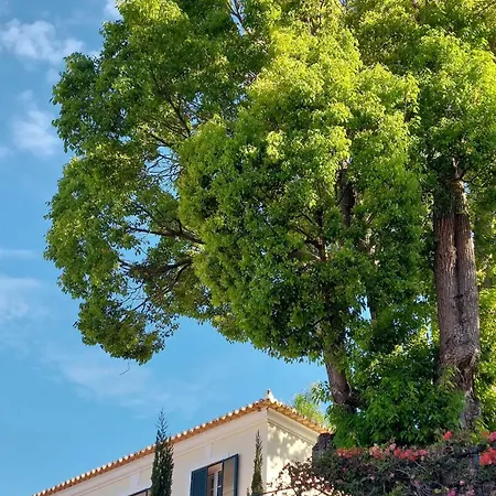 Carvalhal Funchal (Madeira)