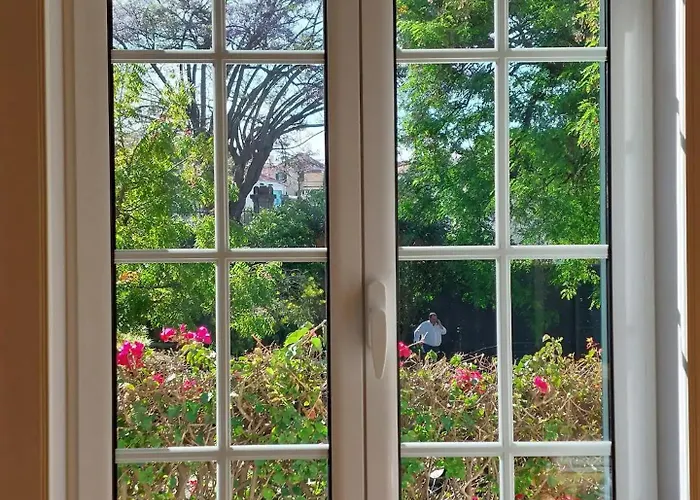 Carvalhal * フンシャル