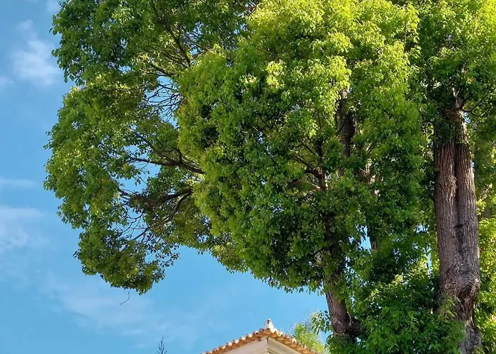 Carvalhal Φουνκάλ